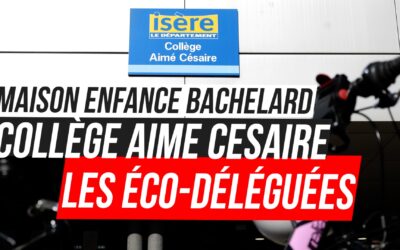 Des abris à oiseaux pour la biodiversité à Grenoble : un projet éducatif engagé